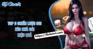 Top 5 Chiến Lược Soi Kèo Nhà Cái Hiệu Quả